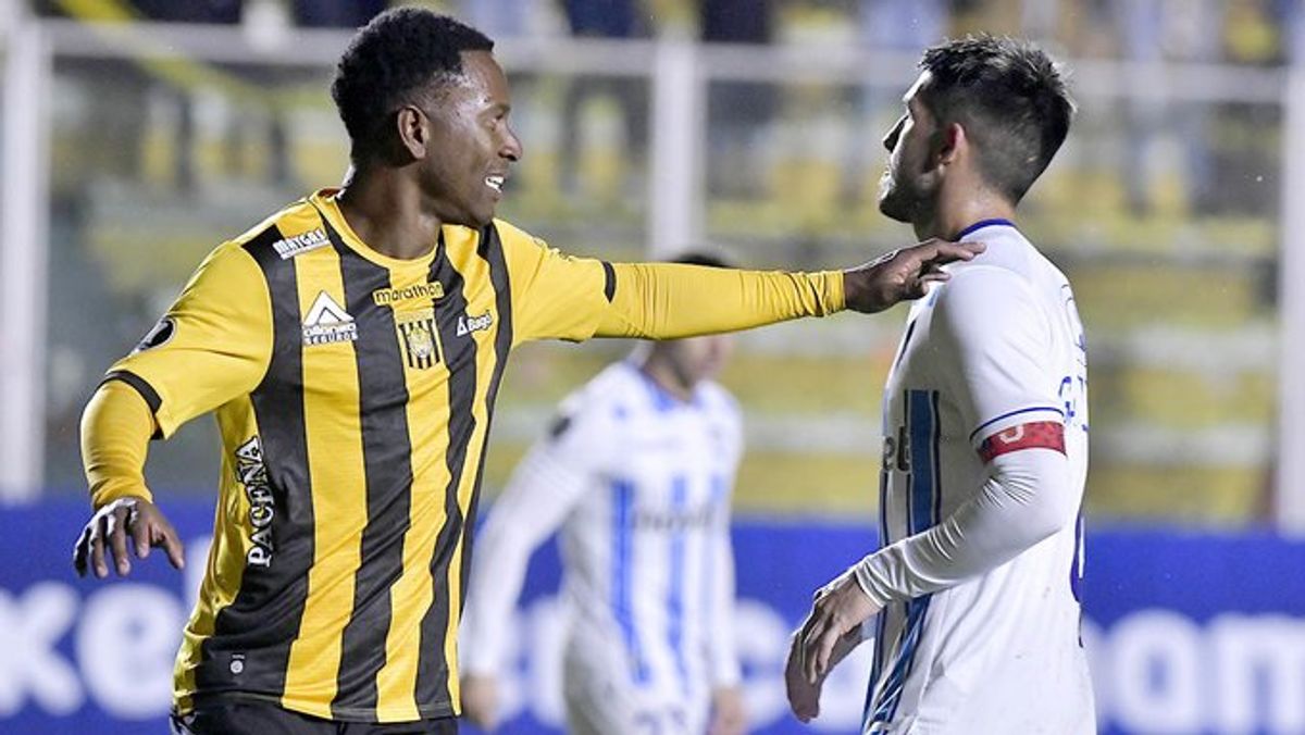 huachipato huachipato