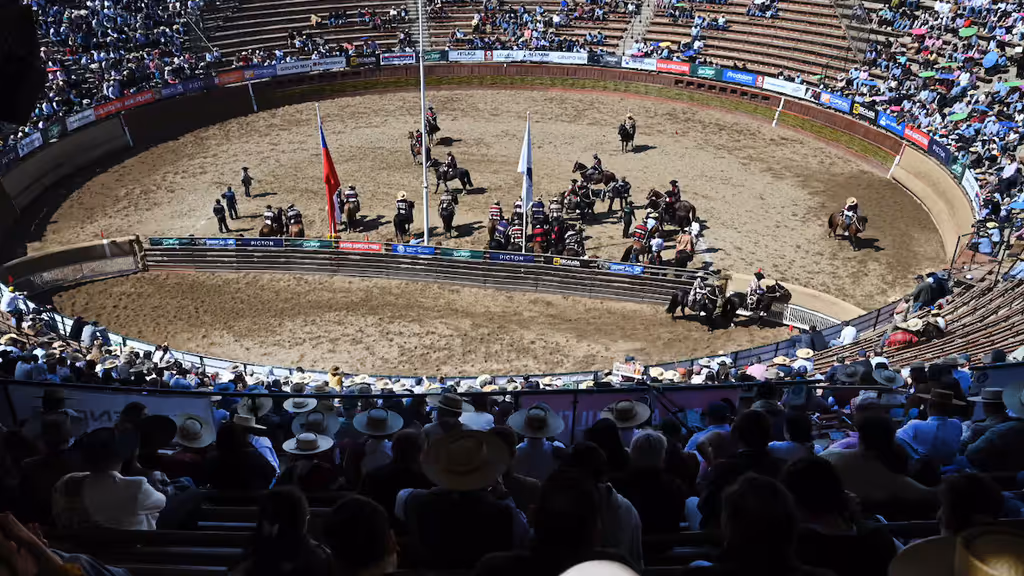 rodeo rodeo