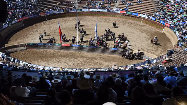 rodeo rodeo