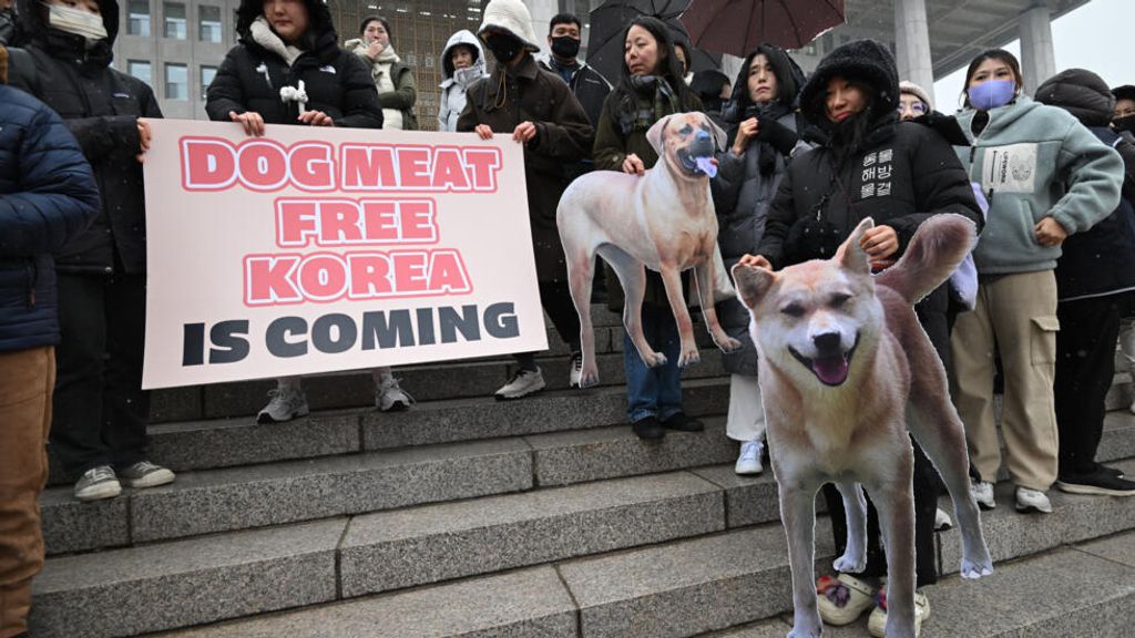 Corea del Sur, prohibición