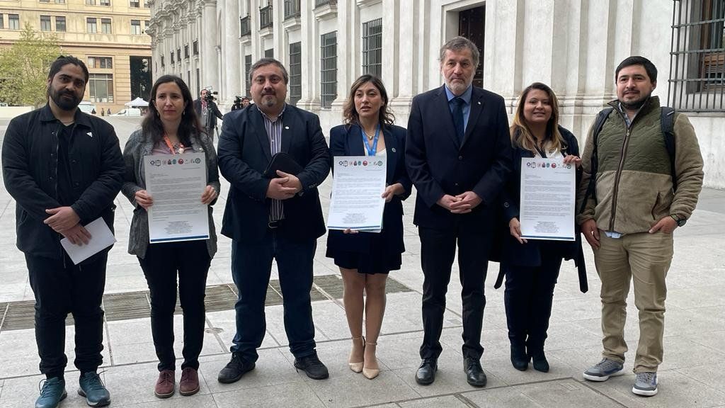 Carta Colegios de profesionales de la salud