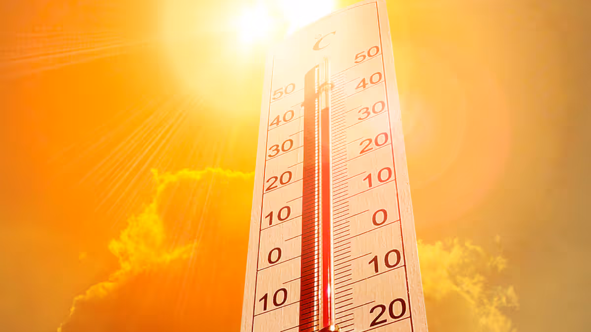 calor