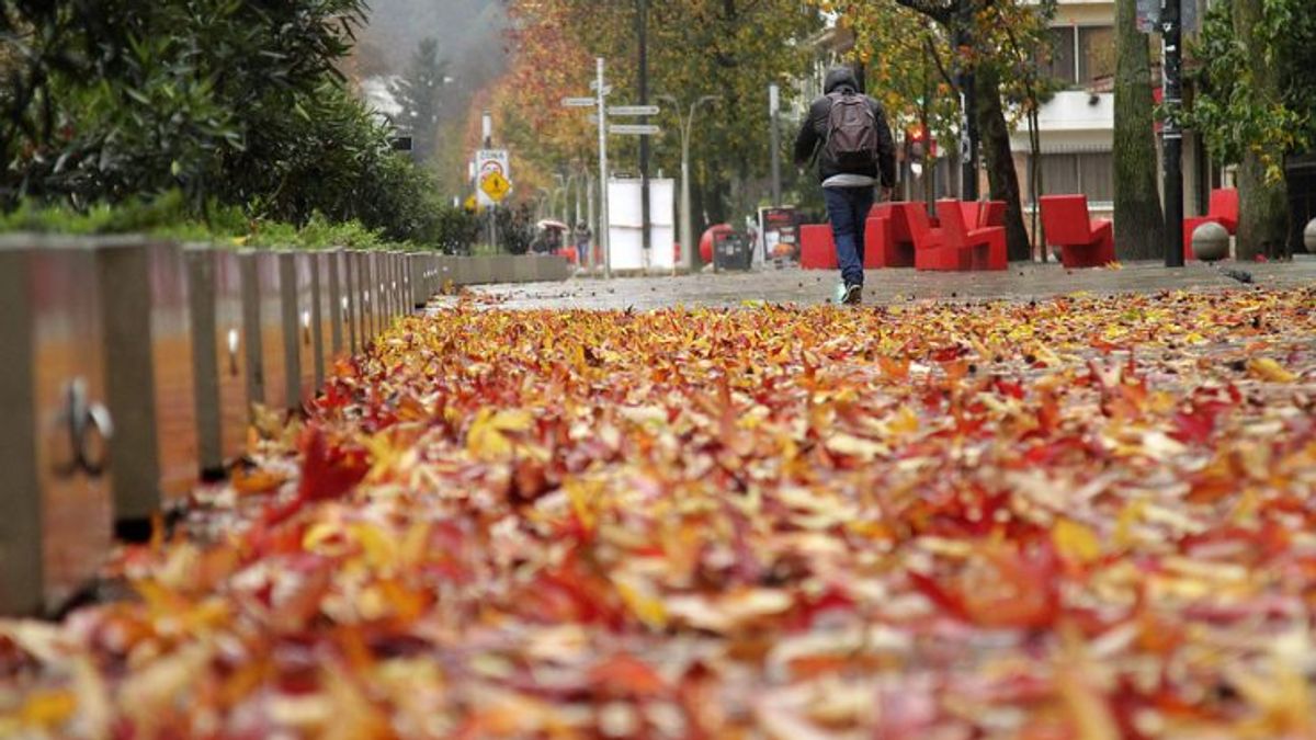 Otoño Otoño