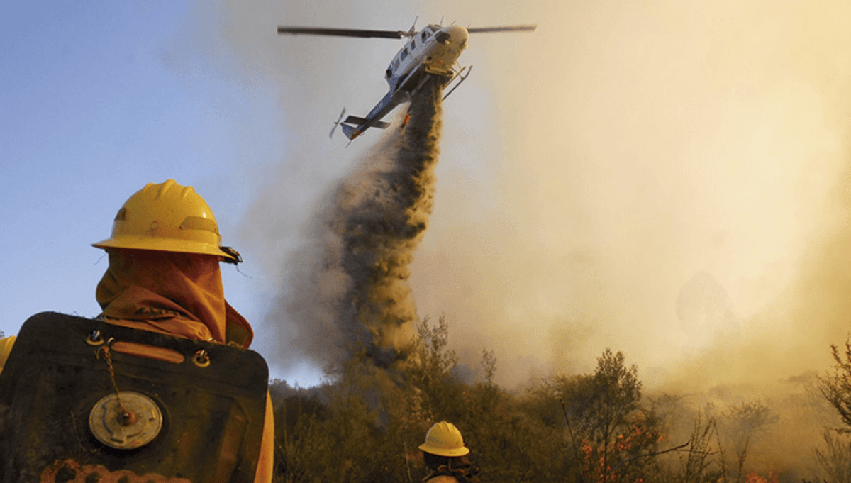 Alerta roja por incendio en Reserva de la Biosfera Jungla Peumayen Alerta roja por incendio en Reserva de la Biosfera Jungla Peumayen