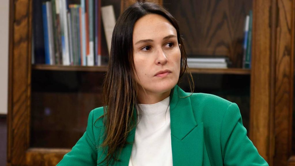Diputada Paula Labra Diputada Paula Labra