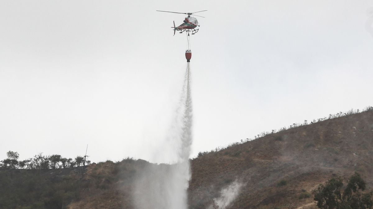 Incendio forestal (referencia) Incendio forestal (referencia)