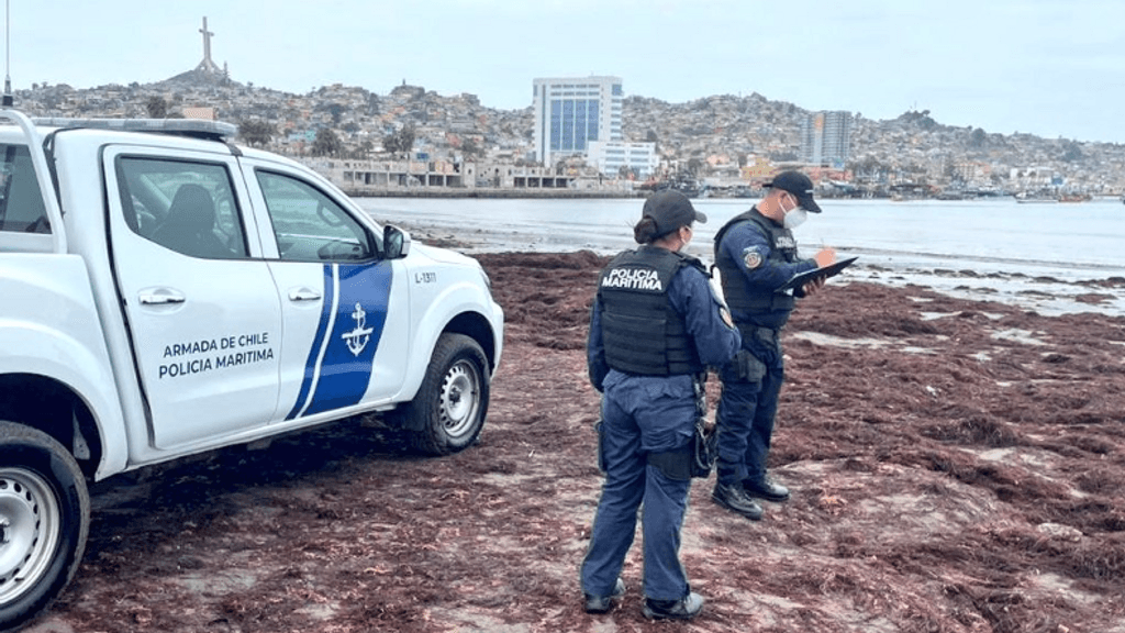 Playa Changa Coquimbo