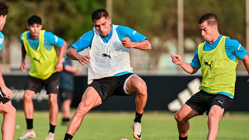 cruzados cruzados