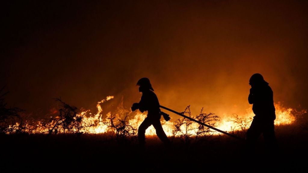 Incendio forestal