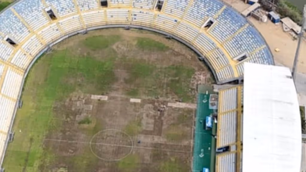 saulsalito saulsalito