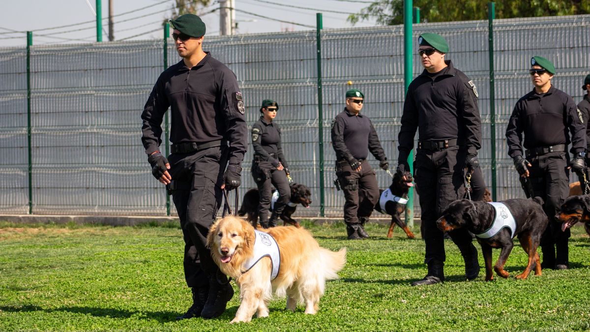 Gendarmería de Chile