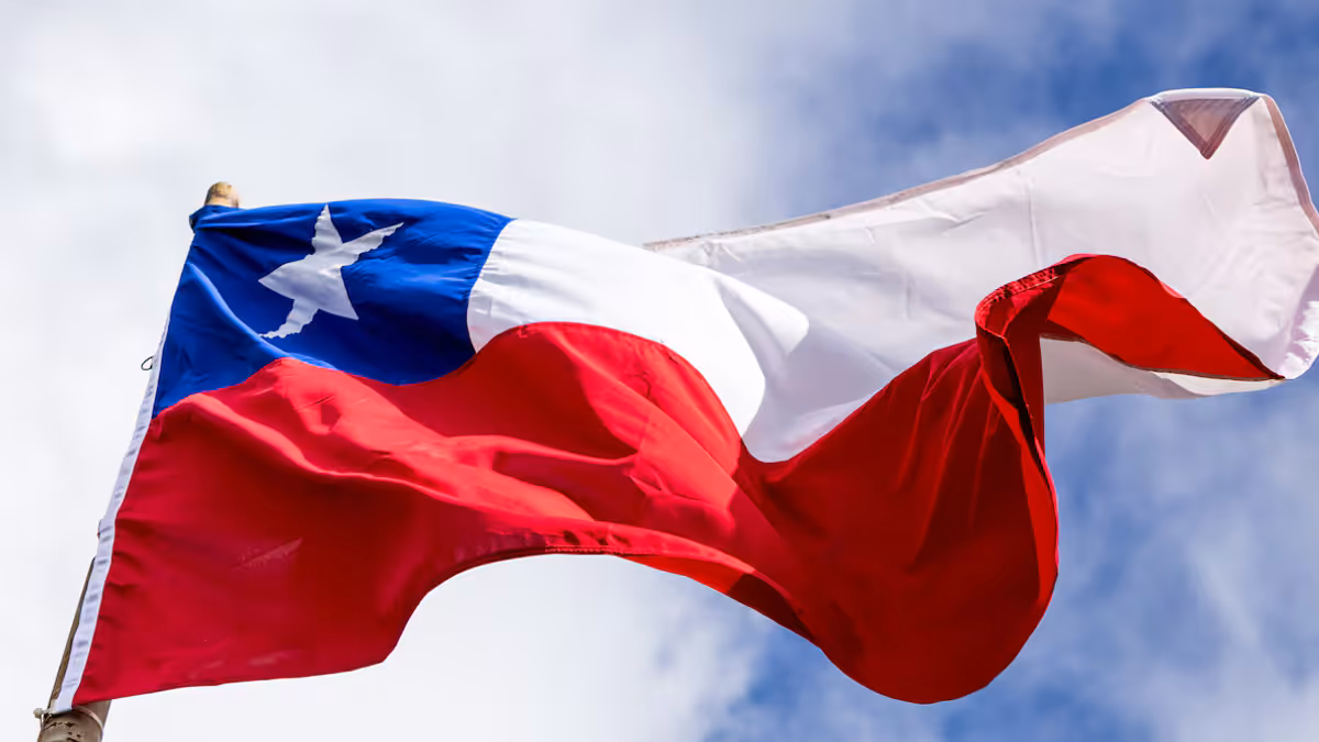 bandera