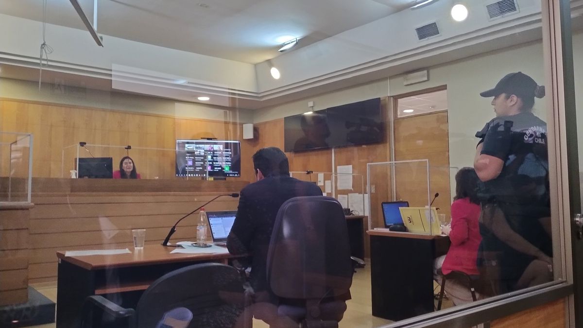 Caso Michelle Silva Caso Michelle Silva