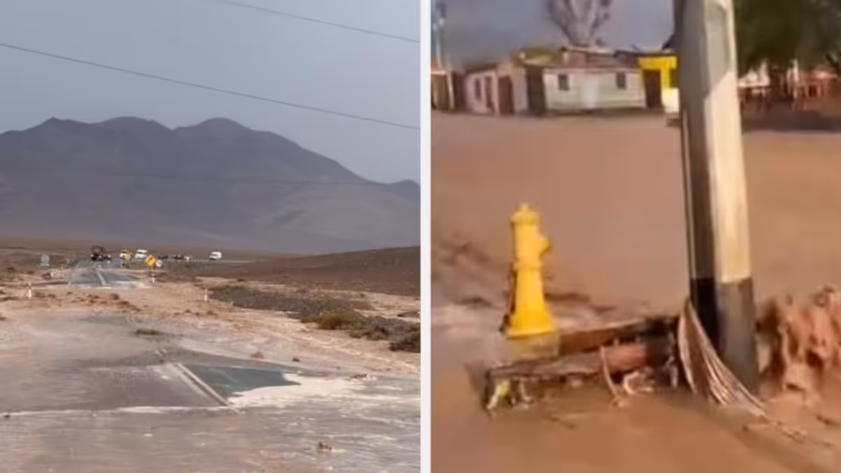 diegoalmagro diegoalmagro