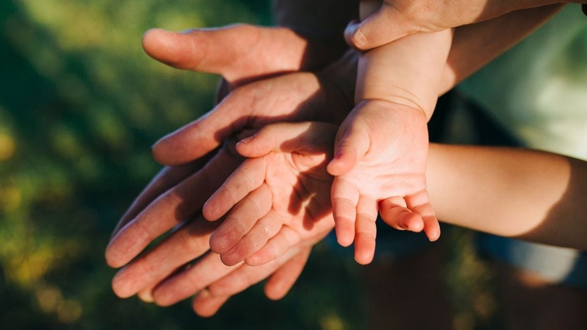 Sistema de adopción Sistema de adopción