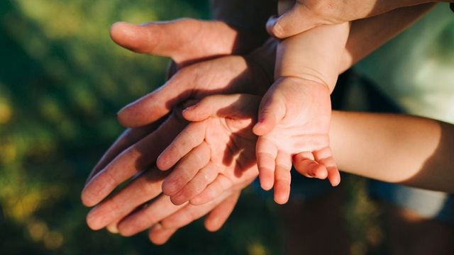 Sistema de adopción Sistema de adopción