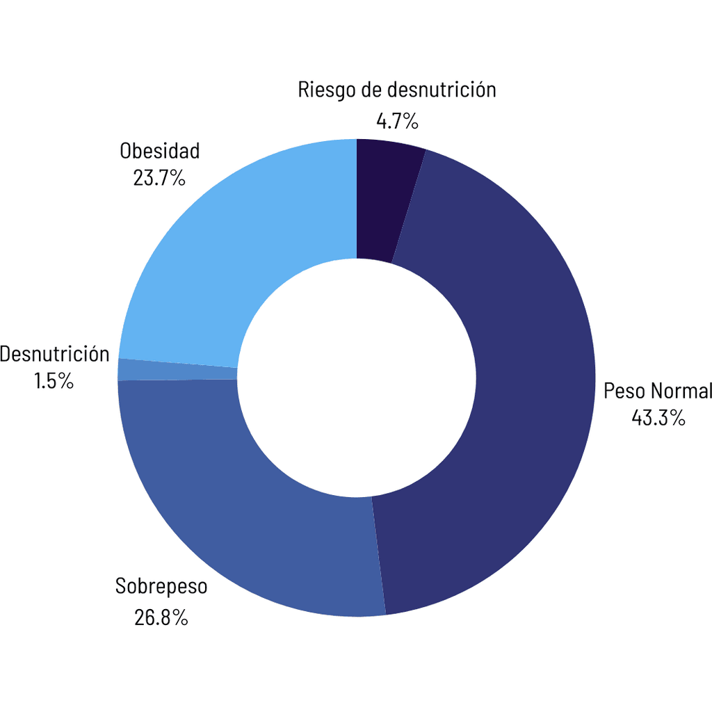 Mapa nutricional 2024 Mapa nutricional 2024