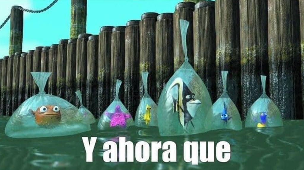 Y ahora qué HD Y ahora qué HD