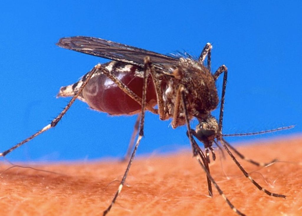 EAE53361-B3B3-4E82-8F35-274EA899DD4E EAE53361-B3B3-4E82-8F35-274EA899DD4E