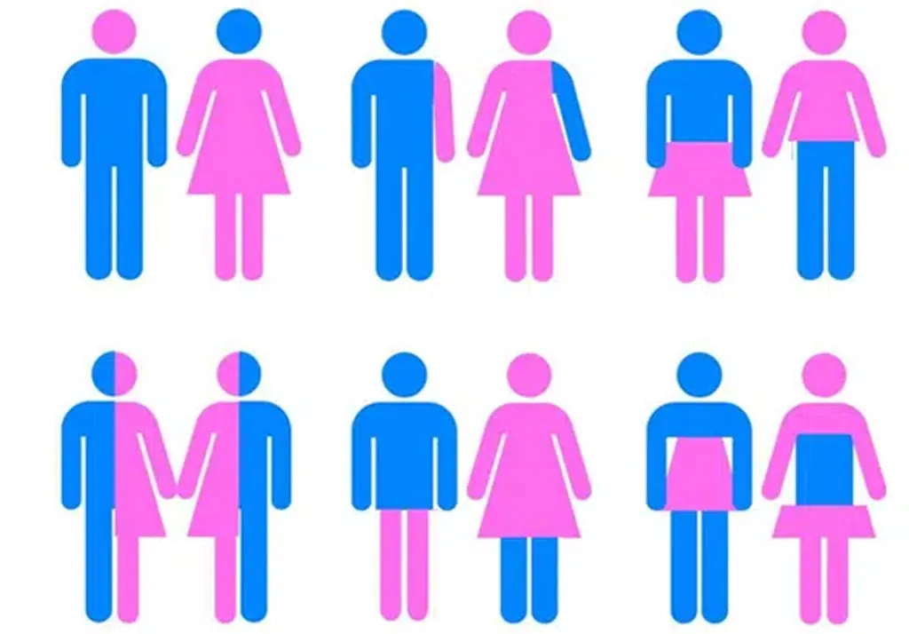 Disforia de genero Disforia de genero