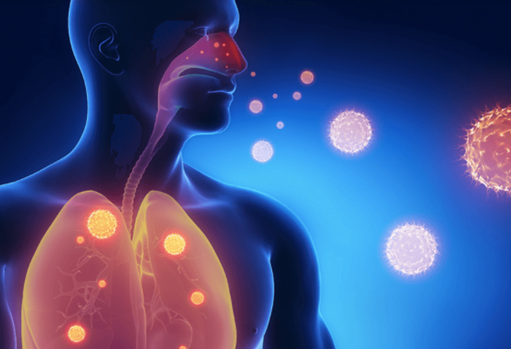 Virus Influenza Virus Influenza