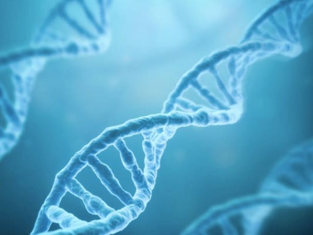 BA6A6FF9-BF59-4EE2-81CC-DB527EF0A0C8 BA6A6FF9-BF59-4EE2-81CC-DB527EF0A0C8