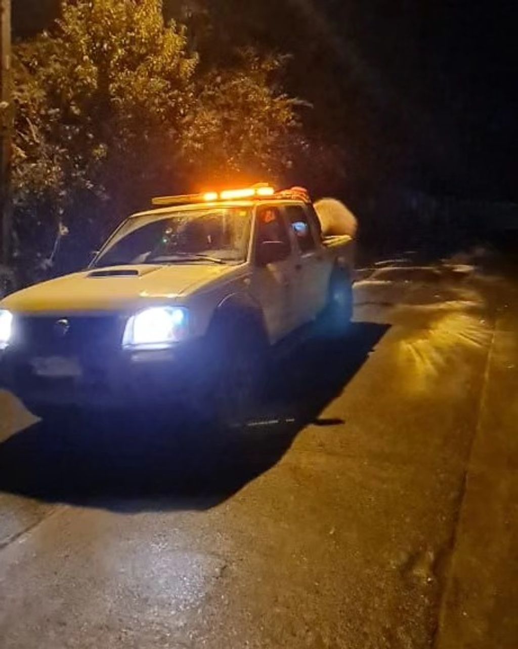 444214259_857117359784301_8337373273638817107_n 444214259_857117359784301_8337373273638817107_n