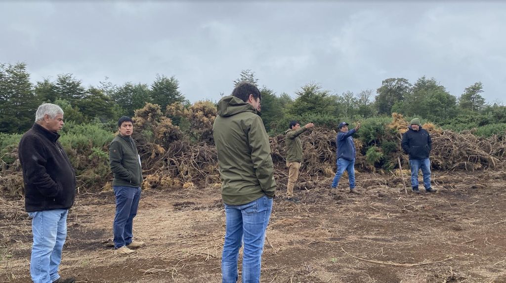 cancha pulutauco-dalcahue cancha pulutauco-dalcahue