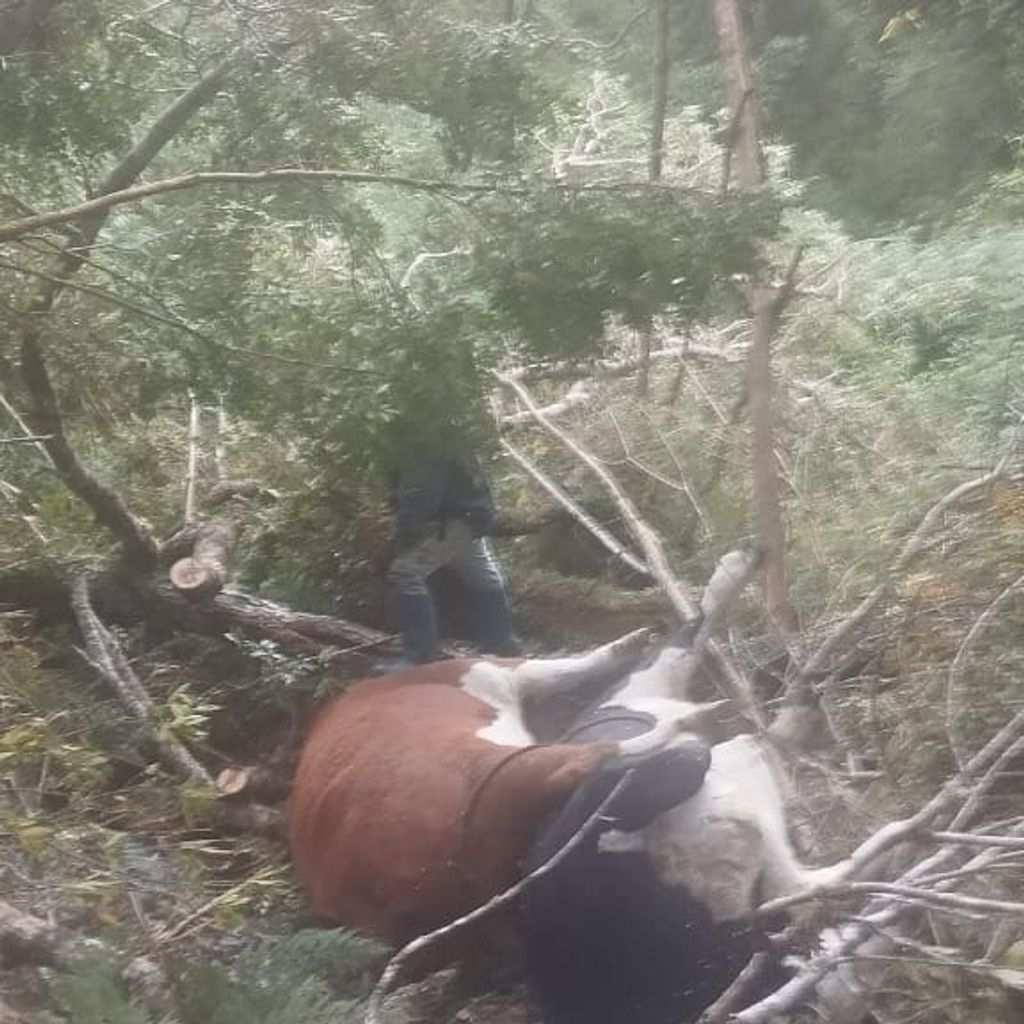 WhatsApp Image 2024-04-18 at 19 WhatsApp Image 2024-04-18 at 19