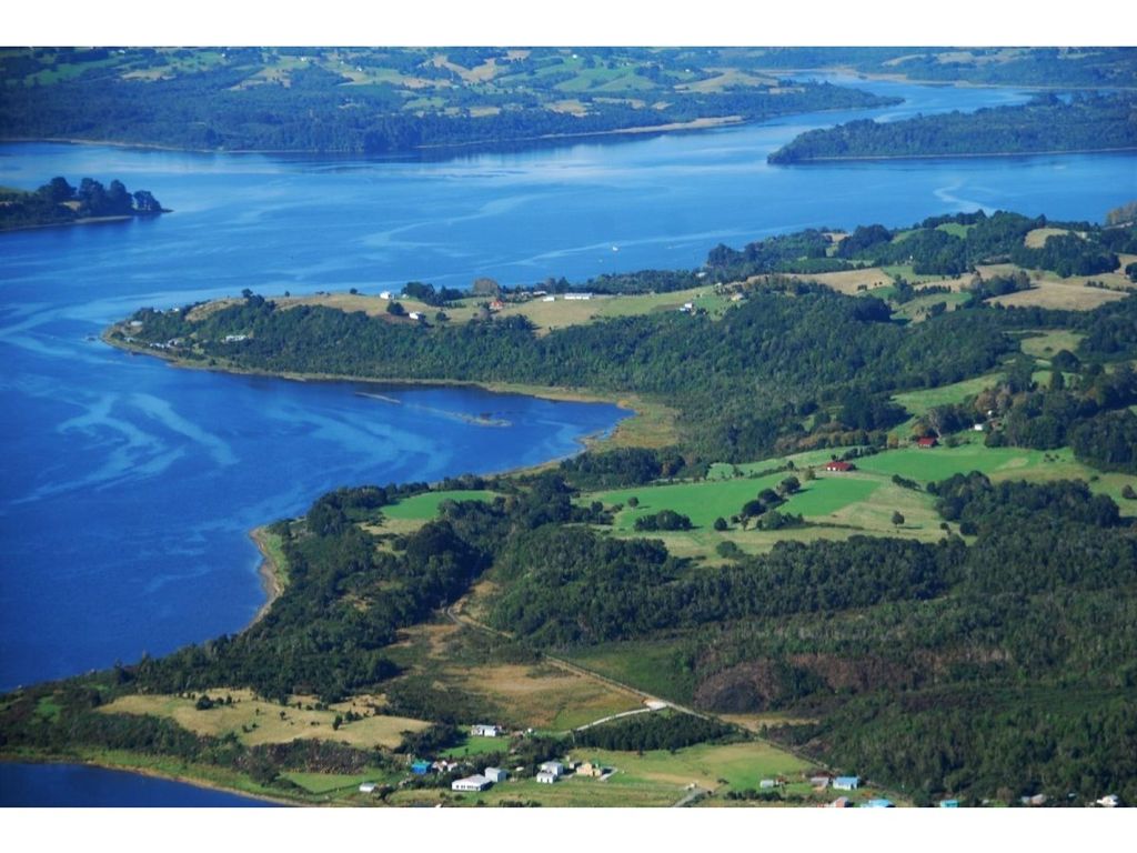 pupelde mar ancud pupelde mar ancud