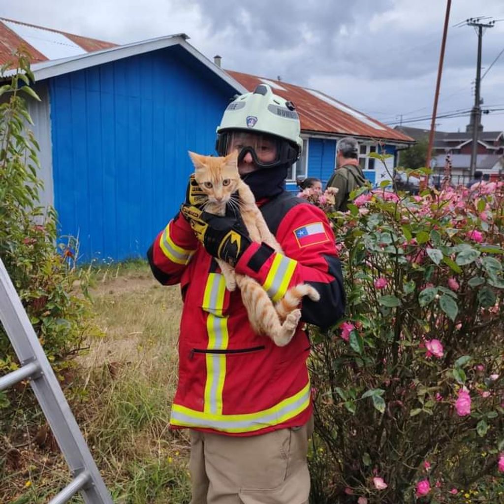 FB_IMG_1708359554893 FB_IMG_1708359554893