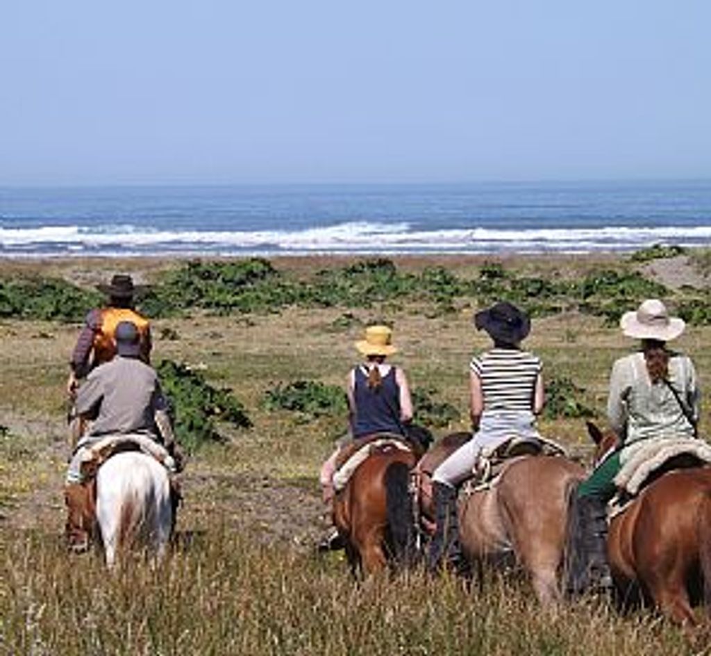 cabalgata chiloe cabalgata chiloe