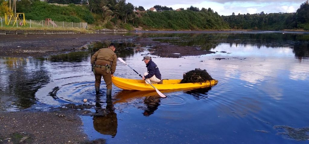 WhatsApp Image 2024-04-18 at 19 WhatsApp Image 2024-04-18 at 19