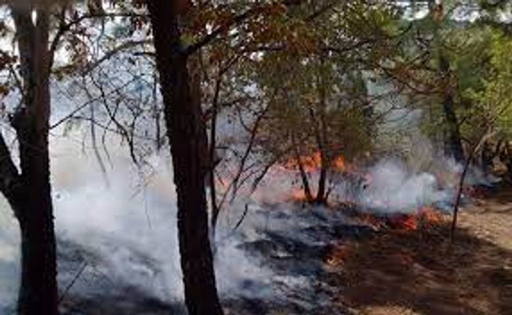 quema pastizal quema pastizal