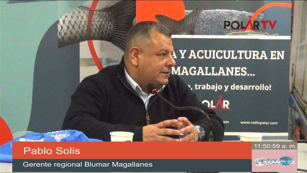 blumar
