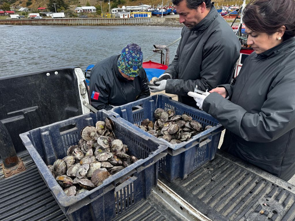 sernapescoerizoostion sernapescoerizoostion