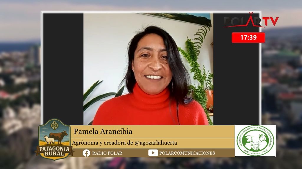 WhatsApp Image 2025-10-03 at 5 WhatsApp Image 2025-10-03 at 5