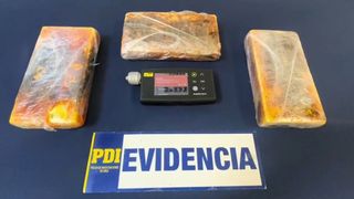 pdicocaina pdicocaina