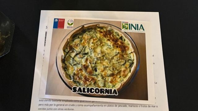 IMG-20260205-WA0005 IMG-20260205-WA0005