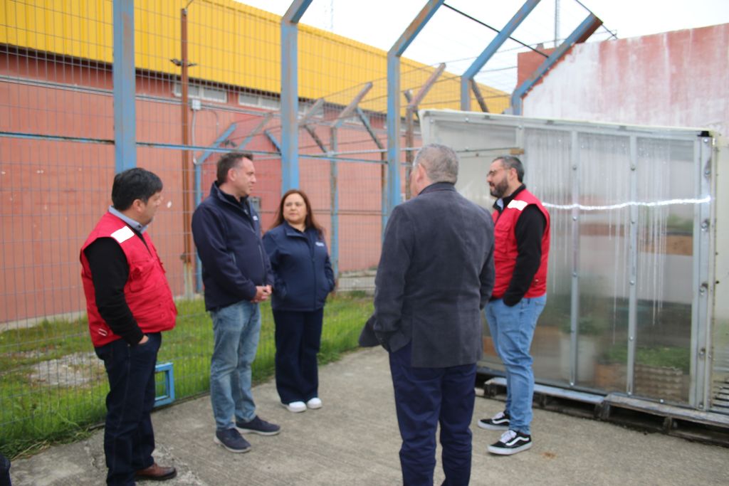 alcaldepenitenciariojuvenil alcaldepenitenciariojuvenil