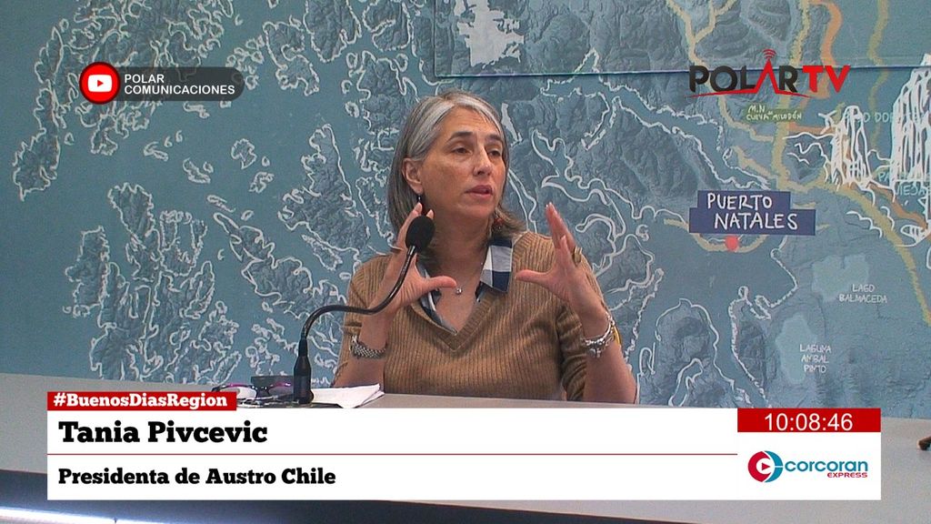 austrochule austrochule