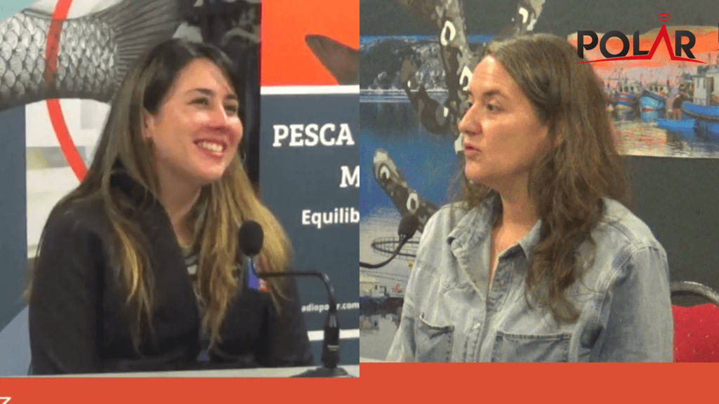 pgmmarearoja pgmmarearoja