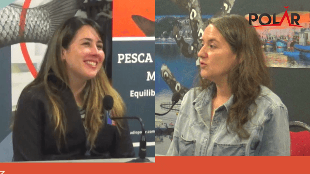 pgmmarearoja pgmmarearoja