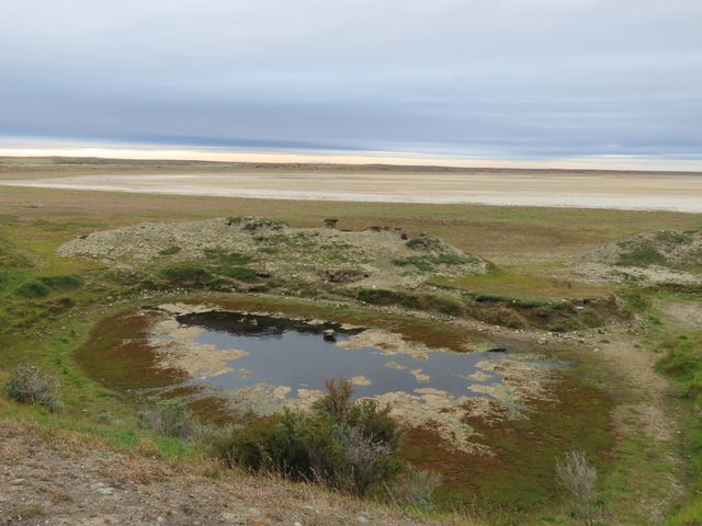 lagunalospalos