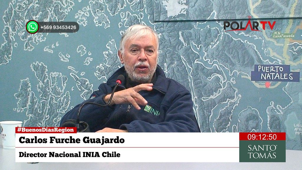 directoriniachile directoriniachile