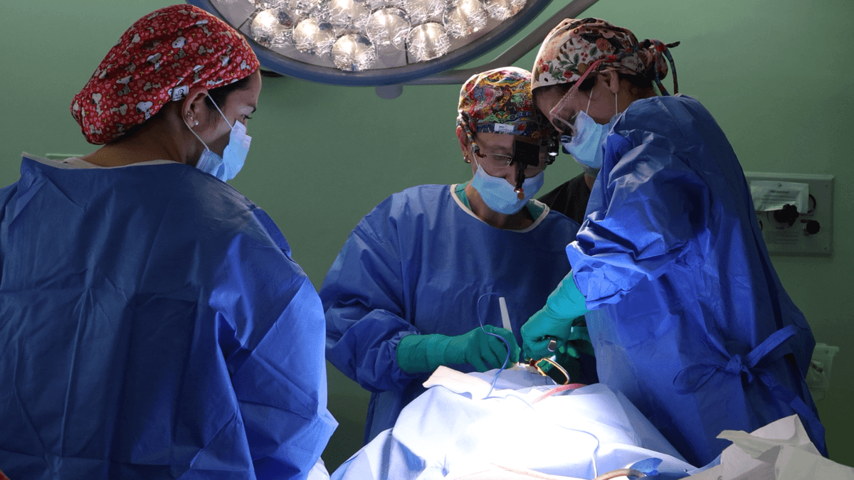 HOSPITAL CLÍNICO MAGALLANES FORTALECE ATENCIÓN INFANTIL CON NUEVA RONDA PLÁSTICA INFANTIL JUNTO A HOSPITAL LUIS CALVO MACKENNA