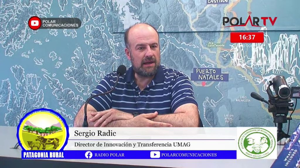 Imagen de WhatsApp 2024-11-29 a las 18 Imagen de WhatsApp 2024-11-29 a las 18