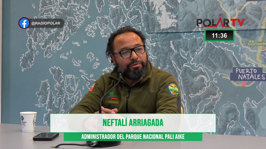 neftalipaliaike neftalipaliaike