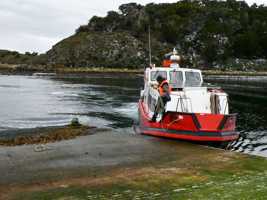 PHOTO-2024-10-02-18-44-02 PHOTO-2024-10-02-18-44-02