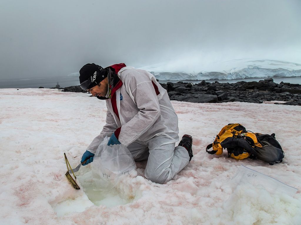 Investigador tomando muestras de nieve en base Yelcho (INACH_H Investigador tomando muestras de nieve en base Yelcho (INACH_H